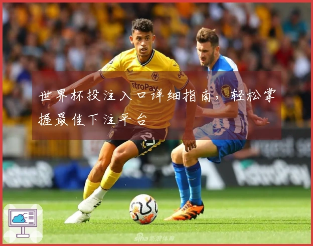 世界杯投注入口详细指南，轻松掌握最佳下注平台