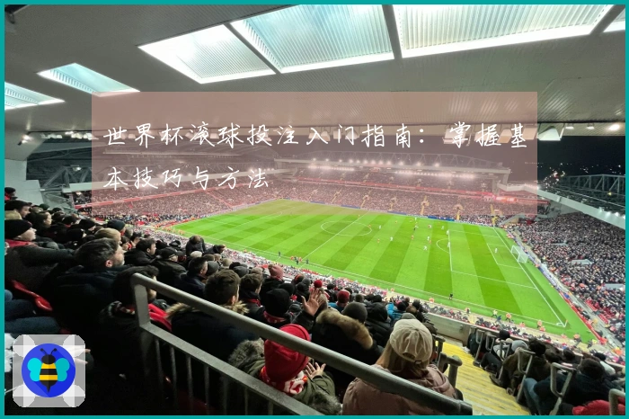 世界杯滚球投注入门指南：掌握基本技巧与方法