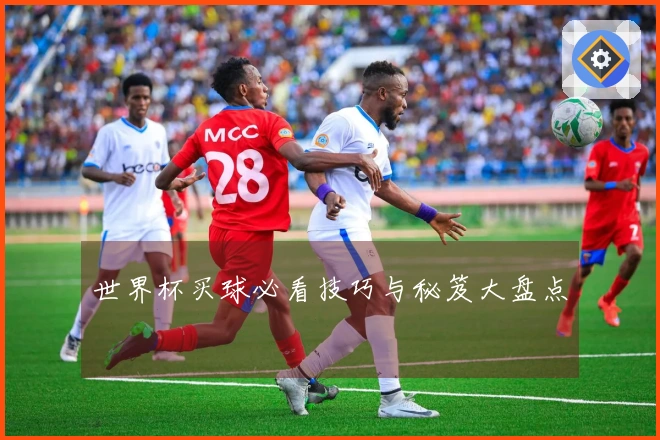 世界杯买球必看技巧与秘笈大盘点