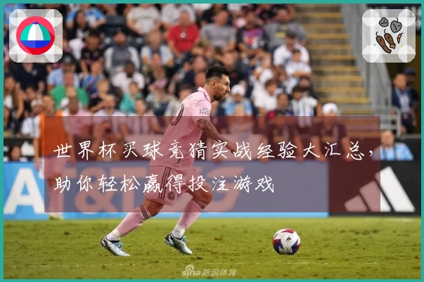 世界杯买球竞猜实战经验大汇总，助你轻松赢得投注游戏