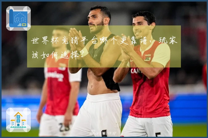 世界杯竞猜平台哪个更靠谱，玩家该如何选择？