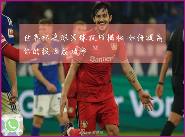 世界杯滚球买球技巧揭秘 如何提高你的投注成功率