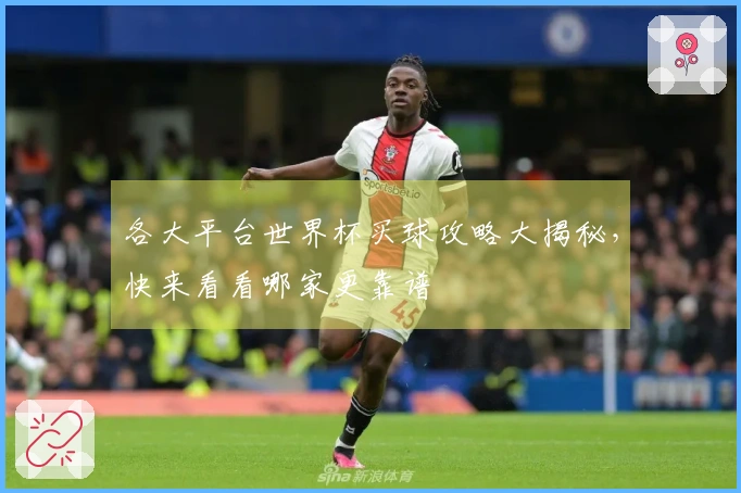 各大平台世界杯买球攻略大揭秘，快来看看哪家更靠谱